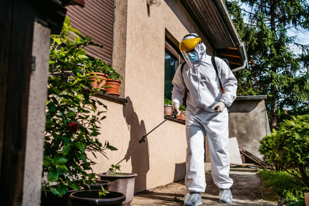 Best Best Pest Control Companies  in Farmington, MS